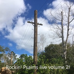 The Rockin' Psalms Live Volume 2