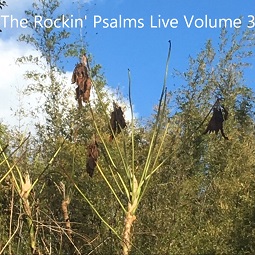 The Rockin' Psalms Live Volume 3